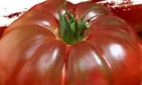 Чёрный принц