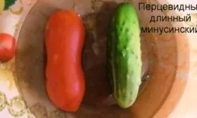 Длинный минусинский