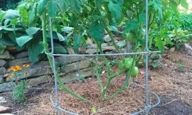 Формирование