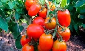 Характеристики