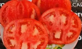 Характеристики