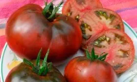 Характеристики плодов