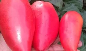 Малиновый 2