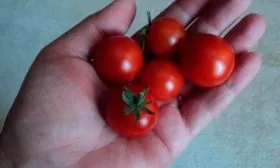 На что обратить внимание