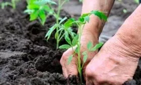 Оптимальная схема