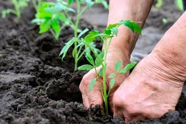 Оптимальная схема