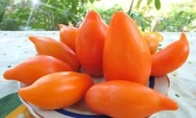 оранжевый 2