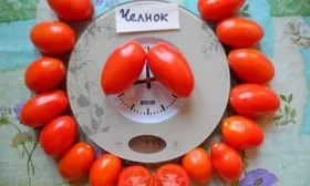 Особенности плодов и их вкуса