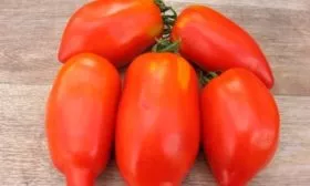 Плоды и их вкус