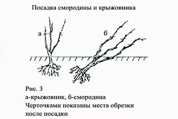 посадка