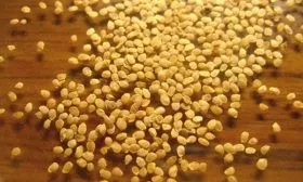 Посев семян на рассаду