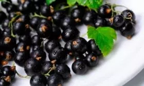 Последующий уход