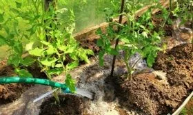 Правила ухода1