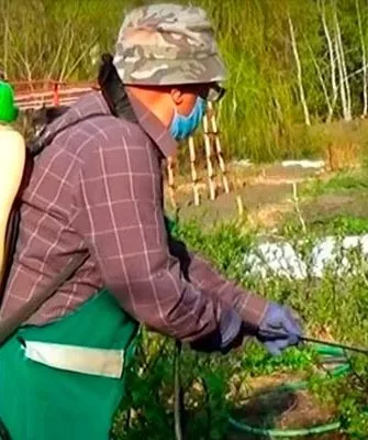 Профилактика болезней и вредителей