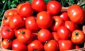 Сбор и применение урожая