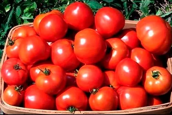 Сбор и применение урожая