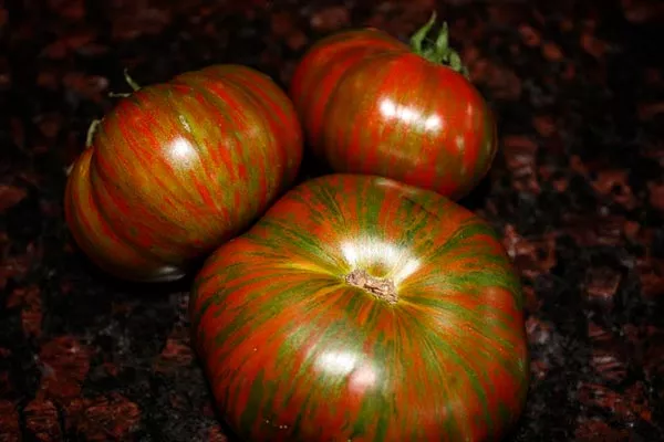 Сроки созревания