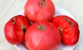 томат-бабушкино-3