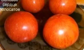 Воловье сердце полосатое