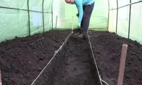 Выбор и подготовка участка