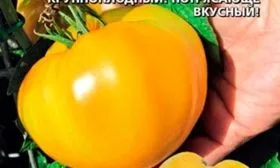 Жёлтый томат