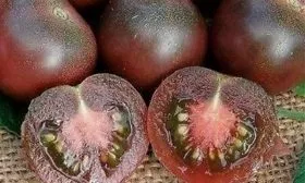 Вкус и сфера применения