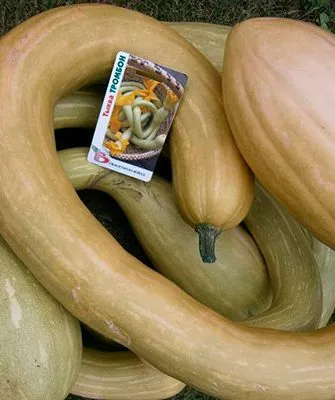 Описание сорта