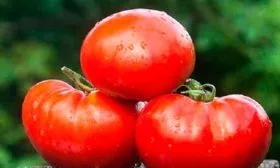 Колхозная королева