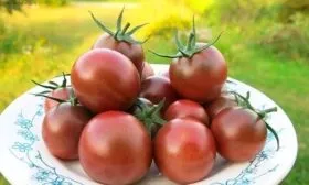 Вкус и сфера применения1