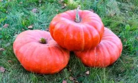 Ключевые характеристики