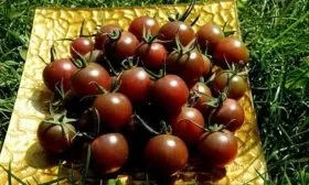 Сбор и хранение