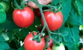 Характеристики3