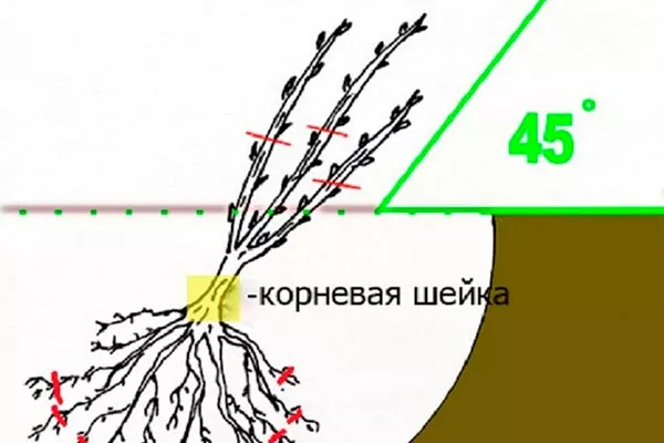 Посадка