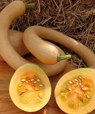 Вкус плодов и их назначение