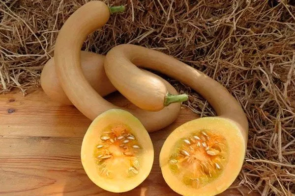 Вкус плодов и их назначение