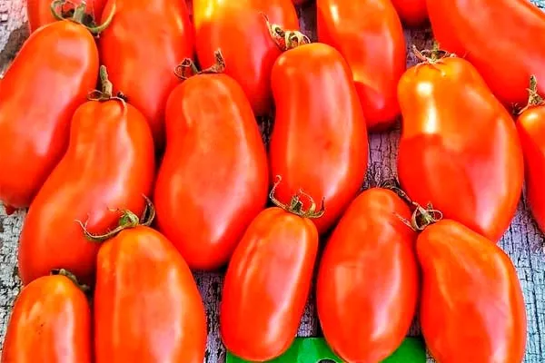 урожайность