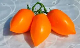 Характеристики плодов