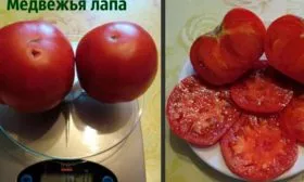 Вкус и предназначение