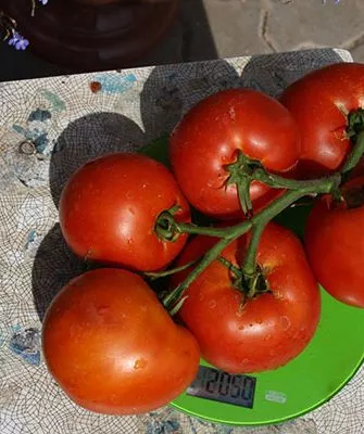 Происхождение и региональность