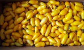 Сбор и хранение