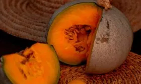 Особенности голосеменных тыкв