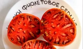 Созревание и плодоношение, урожайность томата Фиолетовое сердце