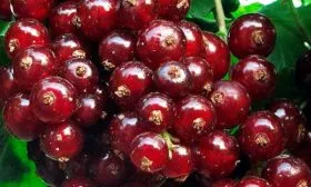 Характеристики