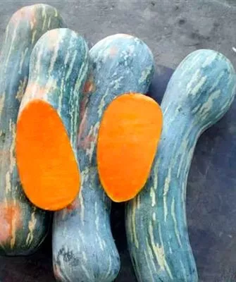 История селекции