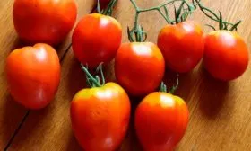 Полезные свойства сорта