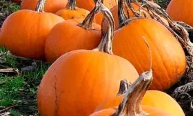 Основные характеристики