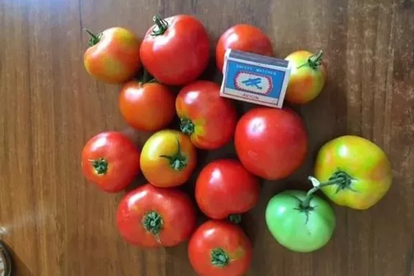 Характеристики