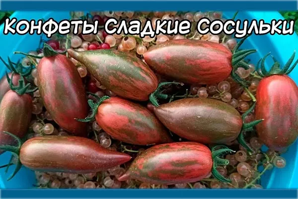 Характеристика