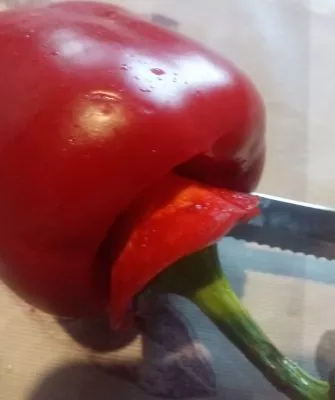 Консервированный болгарский перчик для фаршировки зимой