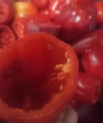 Консервированный болгарский перчик для фаршировки зимой